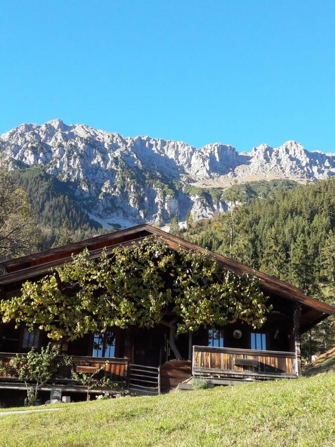 Gastehaus Poll Maria Apartamento Scheffau am Wilden Kaiser Exterior foto