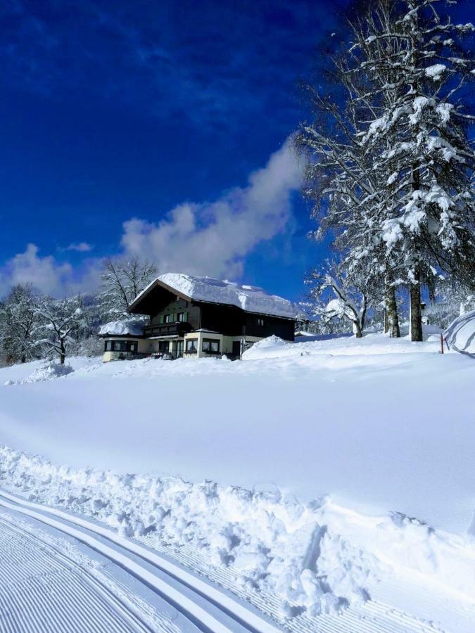 Gastehaus Poll Maria Apartamento Scheffau am Wilden Kaiser Exterior foto